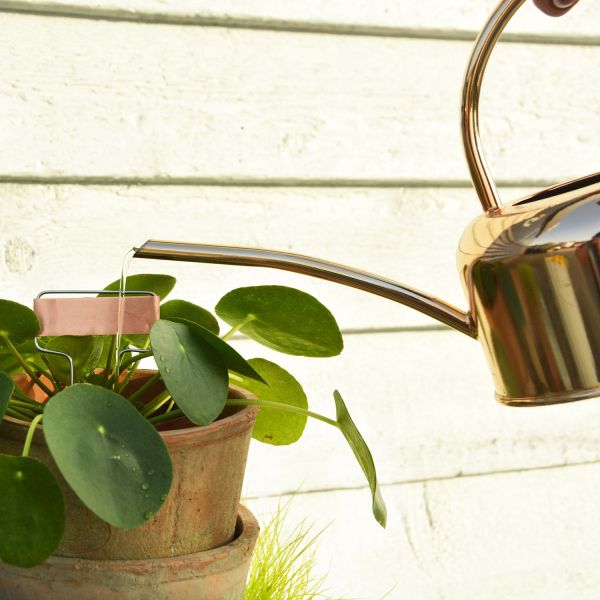 Etiquettes à plantes en cuivre (Lot de 6) - ESSCHERT DESIGN