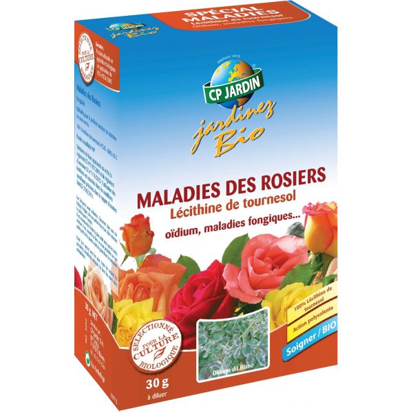 Fongicide naturel contre les maladies des rosiers