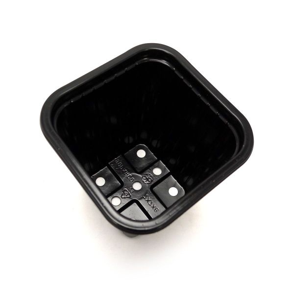Godet en PVC noir 7.3 x 7.3 x 8 cm - FTK-0443