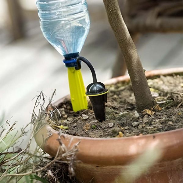 Goutteurs sur pied arrosage régulier - IRISO