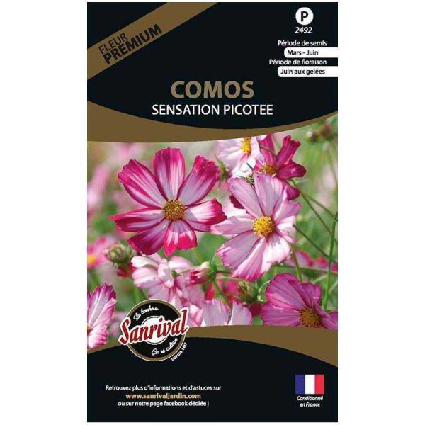 Graines de fleurs premium Cosmos sensation picotée