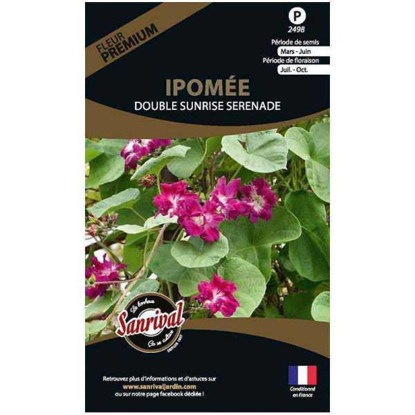 Graines de fleurs premium Ipomée double Sunrise Serenade