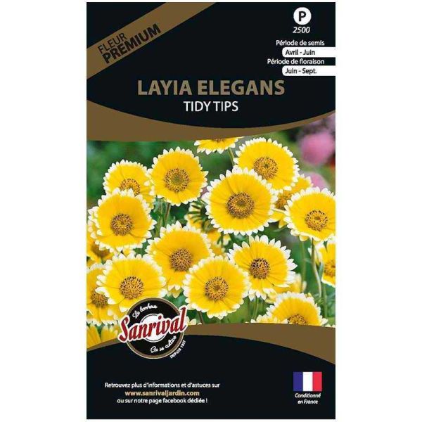 Graines de fleurs premium Layia elegans platyglossa