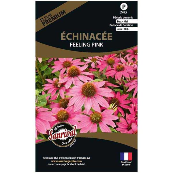 Graines de fleurs premium échinacée Feeling pink annuelle