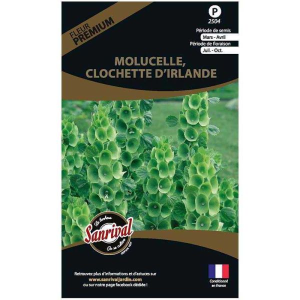 Graines de fleurs premium molucelle clochette d’Irlande