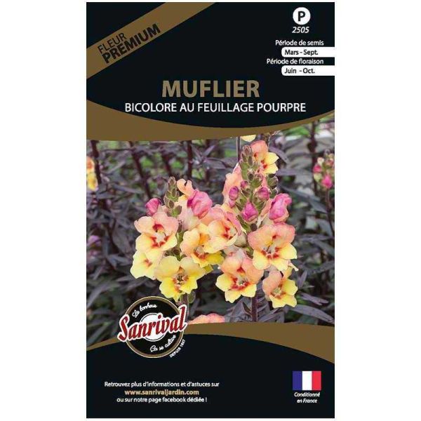 Graines de fleurs premium muflier bicolore feuillage pourpre