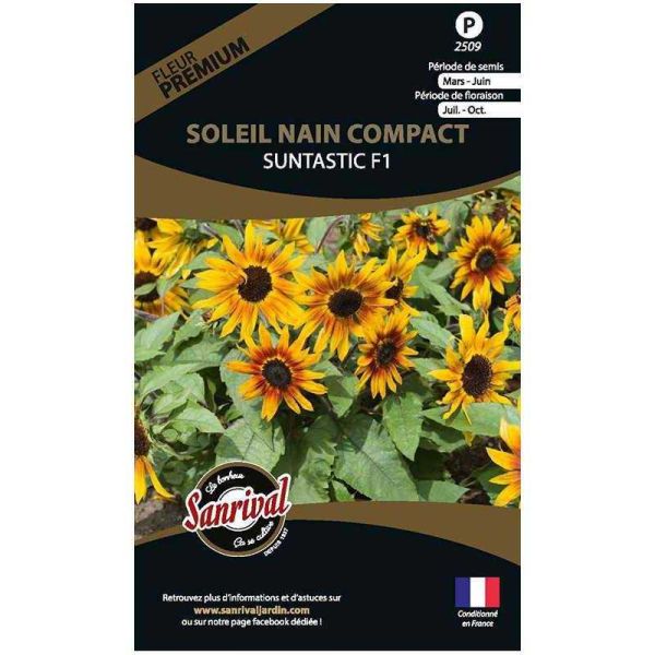 Graines de fleurs premium soleil nain compact Suntastic