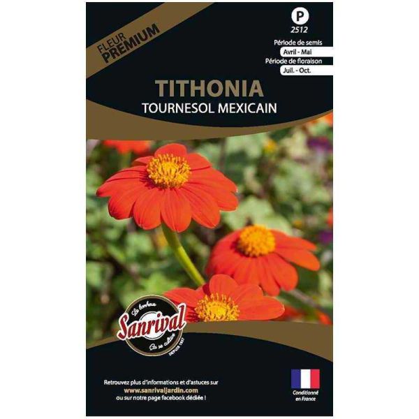 Graines de fleurs premium tithonia tournesol mexicain