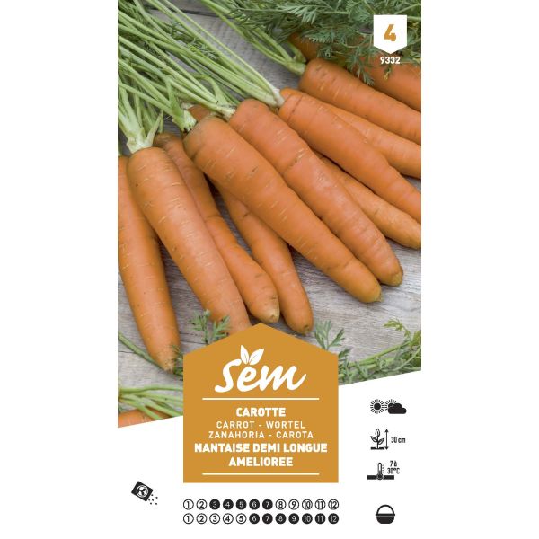 Graines potagères carotte