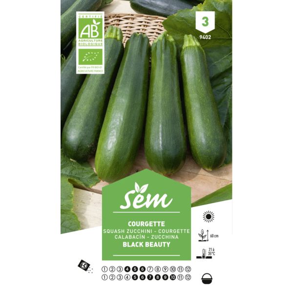 Graines potagères courgette verte noire maraichère