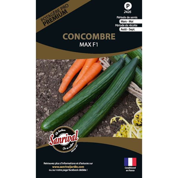 Graines potagères premium Concombre