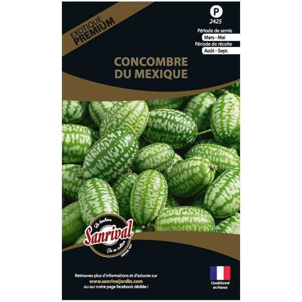 Graines potagères premium Concombre