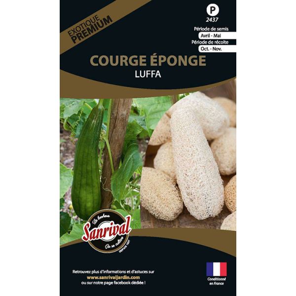 Graines potagères premium Courge