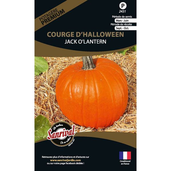 Graines potagères premium Courge