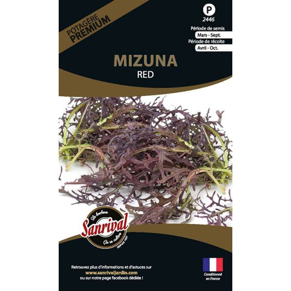 Graines potagères premium Mizuna rouge