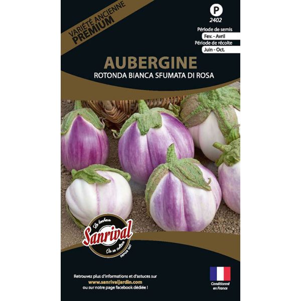 Graines potagères premium aubergine