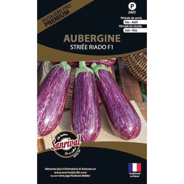 Graines potagères premium aubergine