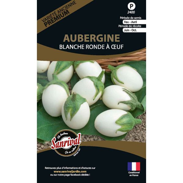 Graines potagères premium aubergine