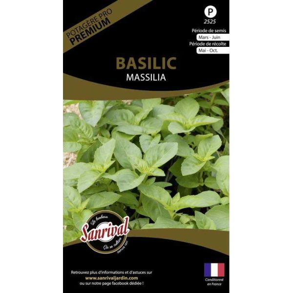 Graines potagères premium basilic Massilia