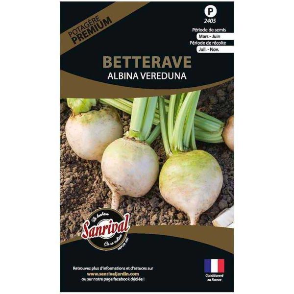 Graines potagères premium betterave