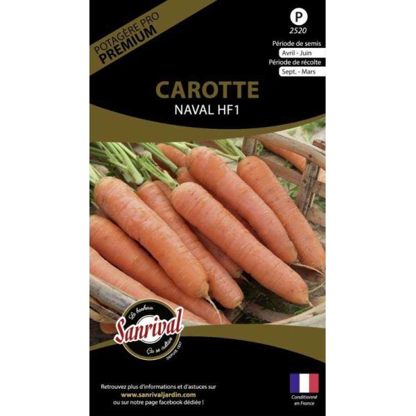 Graines potagères premium carotte