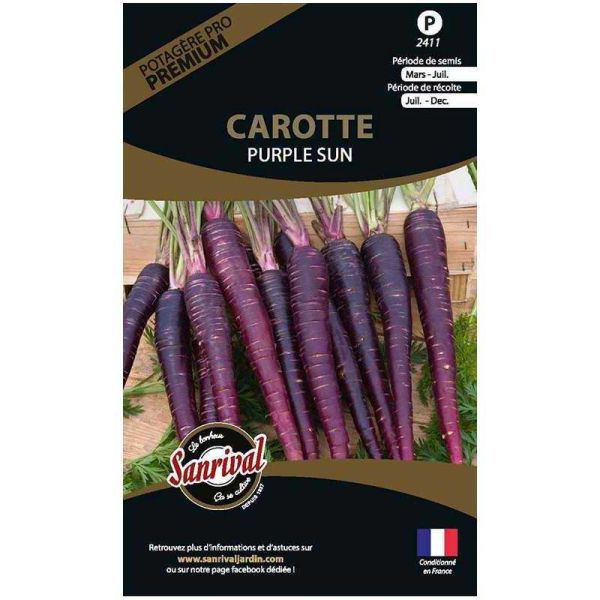 Graines potagères premium carotte