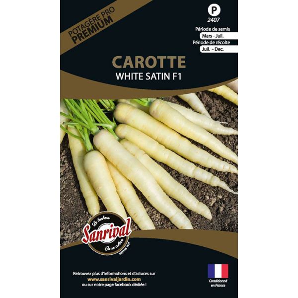 Graines potagères premium carotte