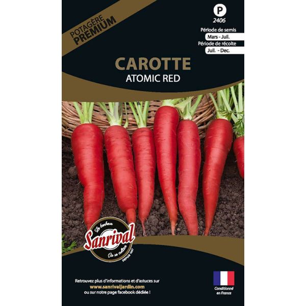 Graines potagères premium carotte