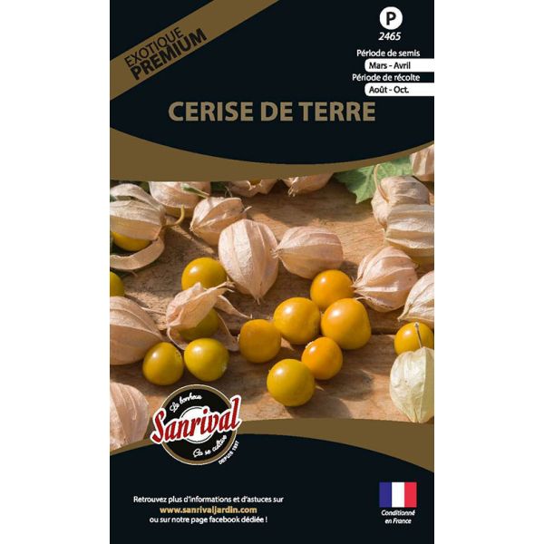 Graines potagères premium cerise de terre