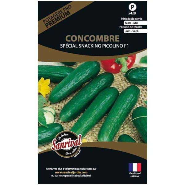 Graines potagères premium concombre Picolino mini snacking