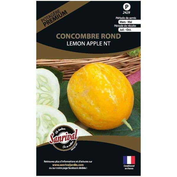 Graines potagères premium concombre rond lemon apple