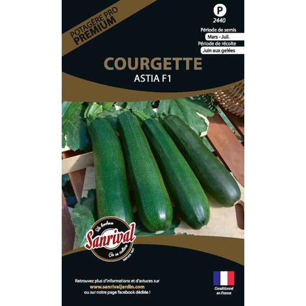 Graines potagères premium courgette Astia