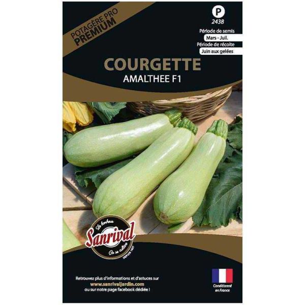 Graines potagères premium courgette