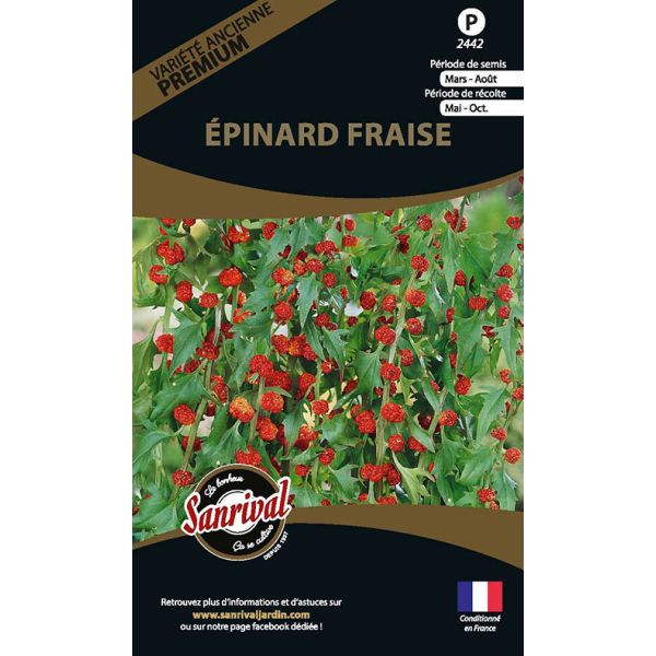 Graines potagères premium épinard fraise