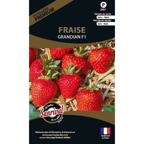 Graines potagères premium fraise Grandian