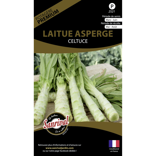 Graines potagères premium laitue