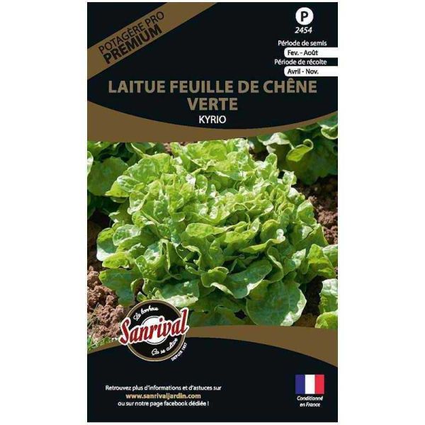 Graines potagères premium laitue