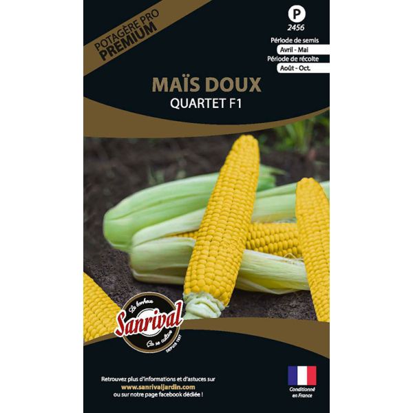 Graines potagères premium maïs