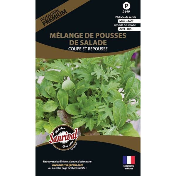 Graines potagères premium mélange de pousses de salade