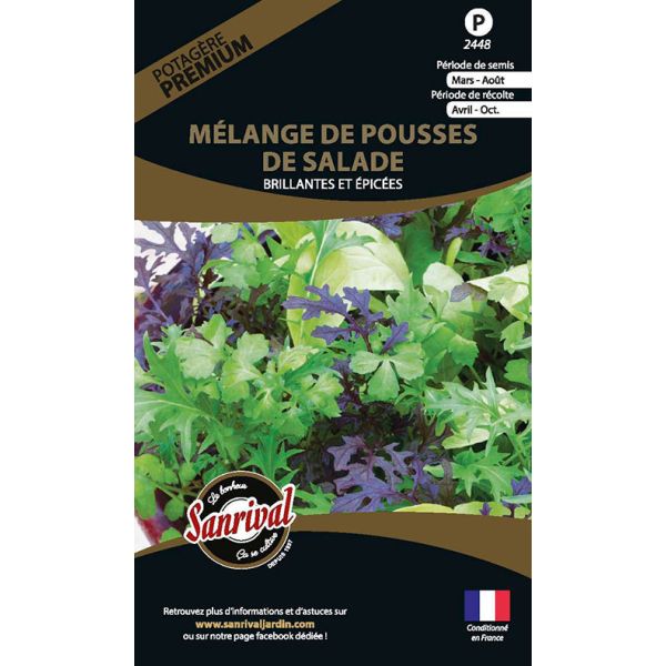 Graines potagères premium mélange de pousses de salade