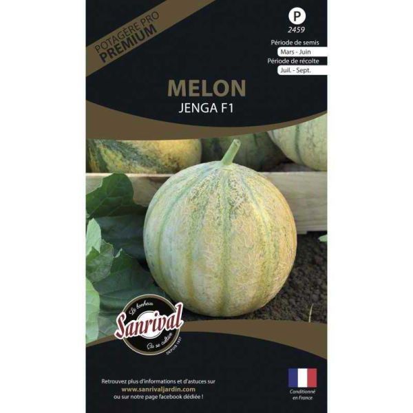 Graines potagères premium melon