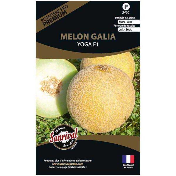 Graines potagères premium melon