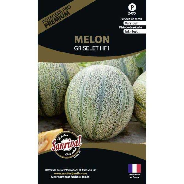 Graines potagères premium melon