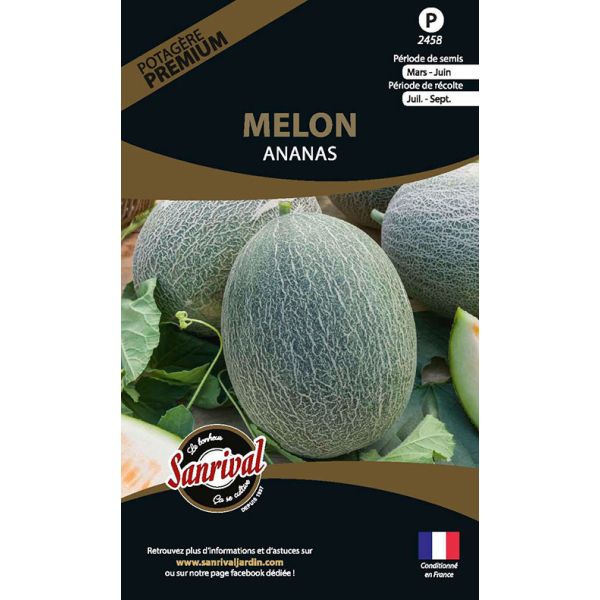 Graines potagères premium melon