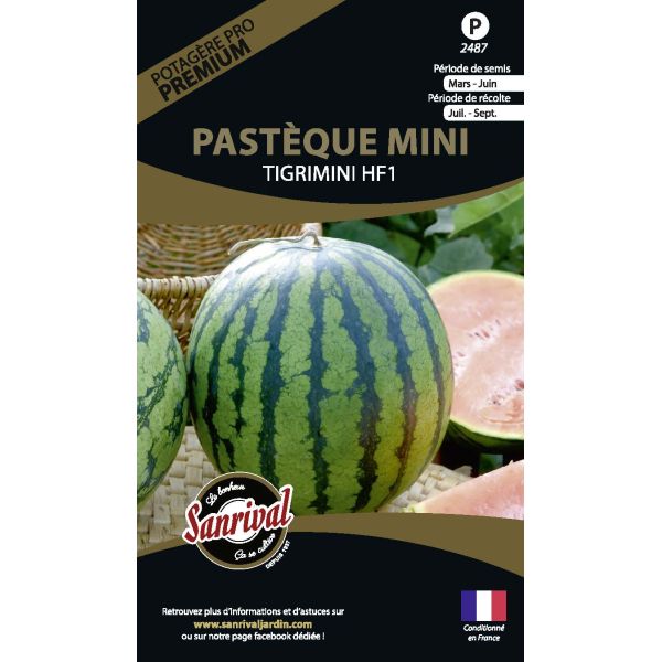 Graines potagères premium pastèque mini tigrimini