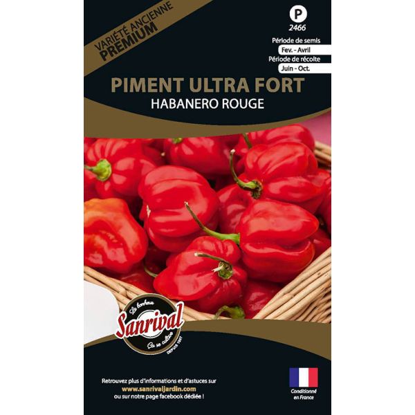 Graines potagères premium piment