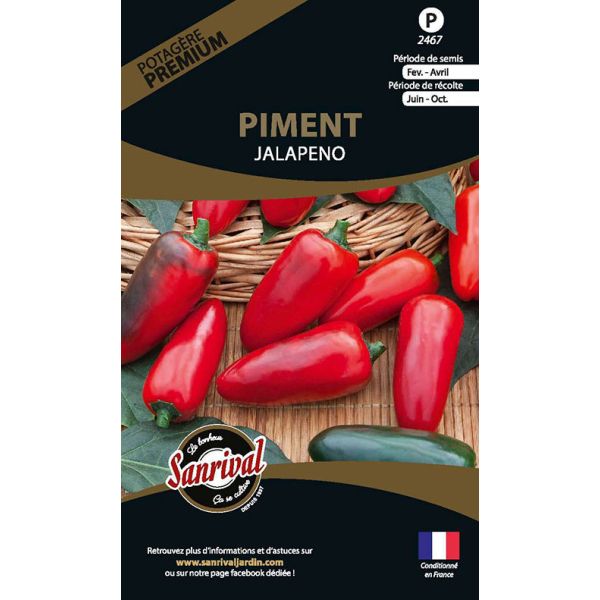 Graines potagères premium piment