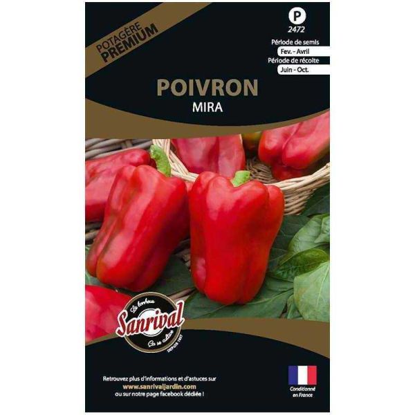 Graines potagères premium poivron