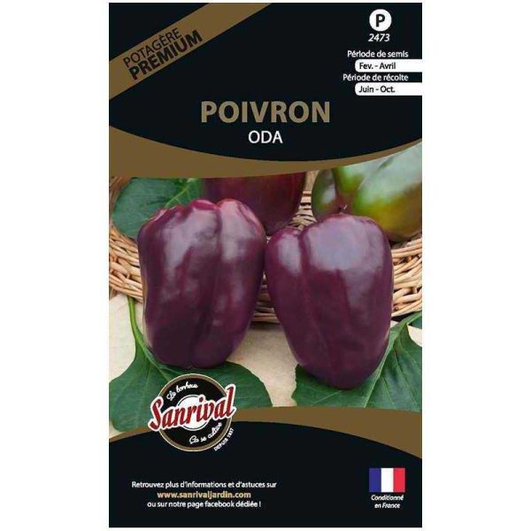 Graines potagères premium poivron