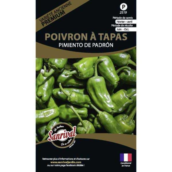 Graines potagères premium poivron